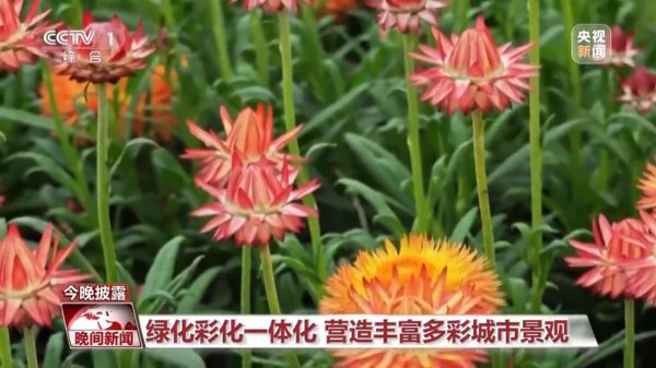 88彩(中国游)官方网站